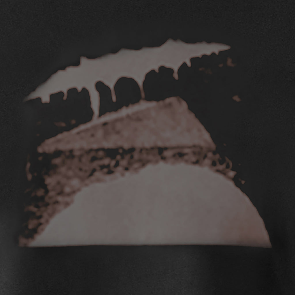 Womens T-shirt - Collage Landscape